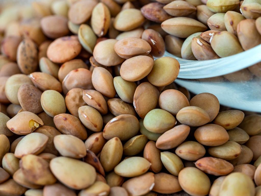 Fresh plant-based protein sources including lentils, tofu, and beans